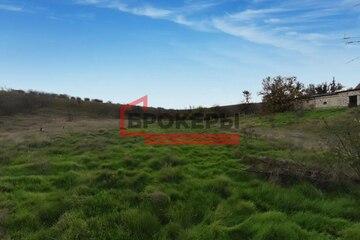 Ведение садоводства, 8 сот.